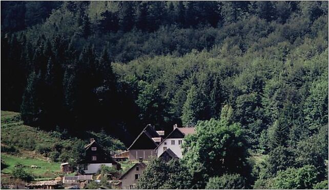 Domy w gornych Bielicach, Bielice - Zdjęcia