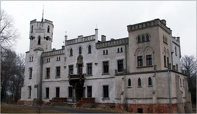 Drwalewice, Drwalewice, Drwalewice 67-120 - Zdjęcia