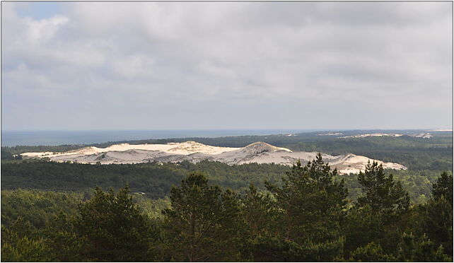 Dunes near Czolpino, Czołpino 34, Czołpino 76-214 - Zdjęcia