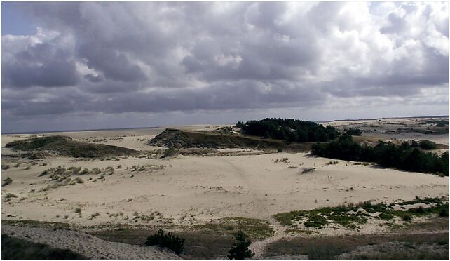 Efokalnas, Lisówka, Lisówka 11-200 - Zdjęcia