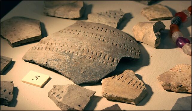 Elbląg, muzeum, fragmenty keramiky, Zamkowa, Elbląg 82-300 - Zdjęcia