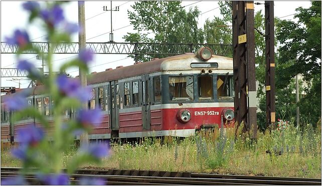 Elbląg, nádraží, EN 57 odstavená, Dworcowy, pl. 1, Elbląg 82-300 - Zdjęcia