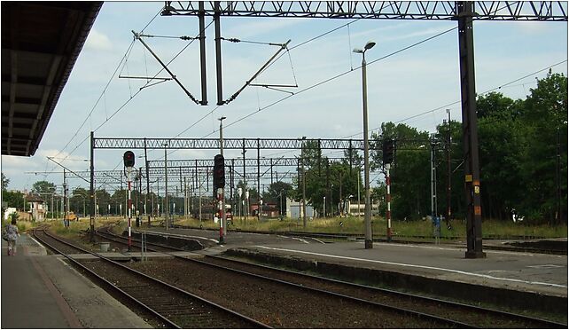 Elbląg, nádraží, nástupiště, Dworcowy, pl. 1, Elbląg 82-300 - Zdjęcia