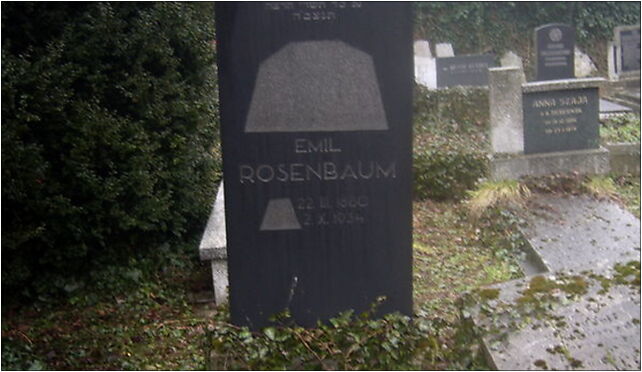 Emil Rosenbaum grave, Damrota Konstantego 7b, Bielsko-Biała 43-300 - Zdjęcia