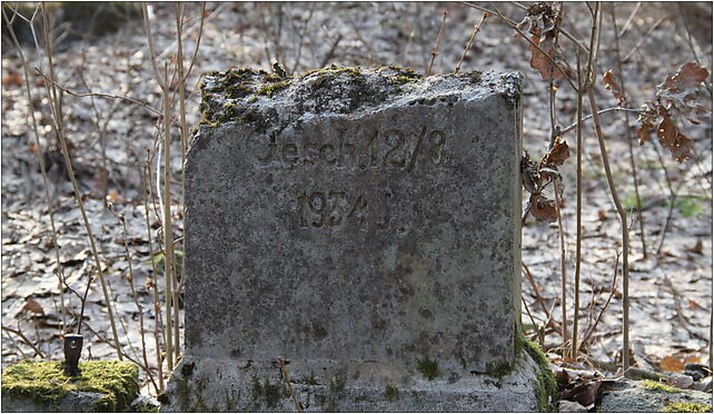 Evangelical-Augsburg Cemetery Marki 1, Kurpińskiego Karola, Marki 05-270 - Zdjęcia