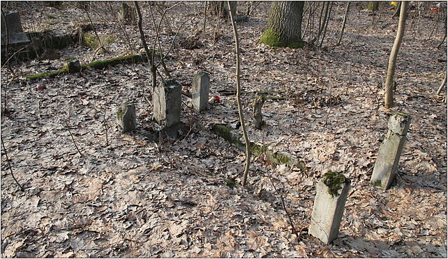 Evangelical-Augsburg Cemetery Marki 2, Kurpińskiego Karola, Marki 05-270 - Zdjęcia