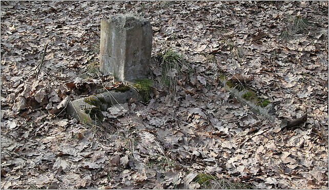 Evangelical-Augsburg Cemetery Marki 4, Kurpińskiego Karola, Marki 05-270 - Zdjęcia