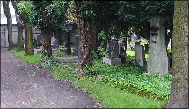 Evangelical Cemetery in Bielsko-Biała (Piłsudkiego) 3 43-300 - Zdjęcia
