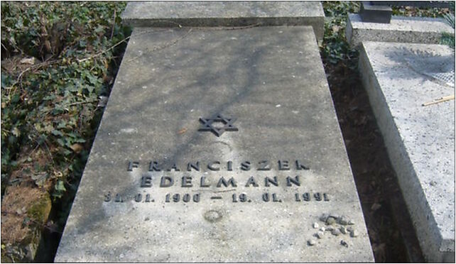 Franciszek Edelman grave, Damrota Konstantego, Bielsko-Biała 43-300 - Zdjęcia