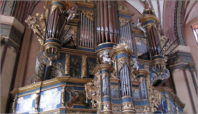 Frauenburger Dom Orgel 2010, Katedralna 6, Frombork 14-530 - Zdjęcia