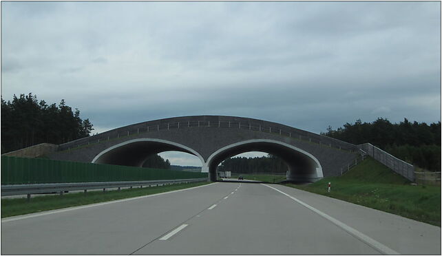 Freeway A4 (Poland) 1, Henrykowska, Zgorzelec 59-900 - Zdjęcia