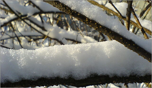 Fresh snow, Okólna 4a, Kraków 30-684 - Zdjęcia