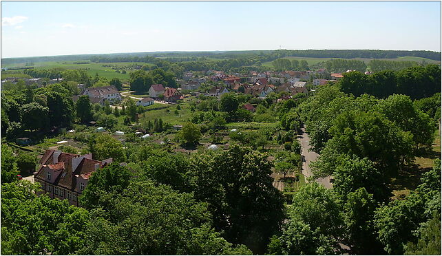 Frombork from Radziejowski's tower - south view, Krasickiego 6 14-530 - Zdjęcia