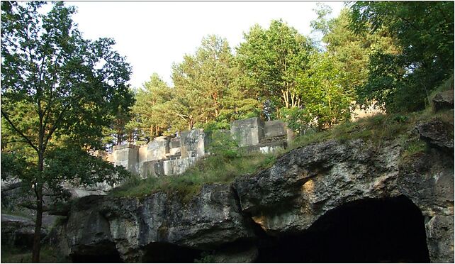 Fxvii 20070814, Bastionowa, Janówek Pierwszy 05-124 - Zdjęcia