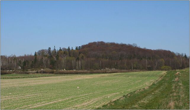 Góra Grojec 2007 04, Lompy908, Lubsza 42-287 - Zdjęcia