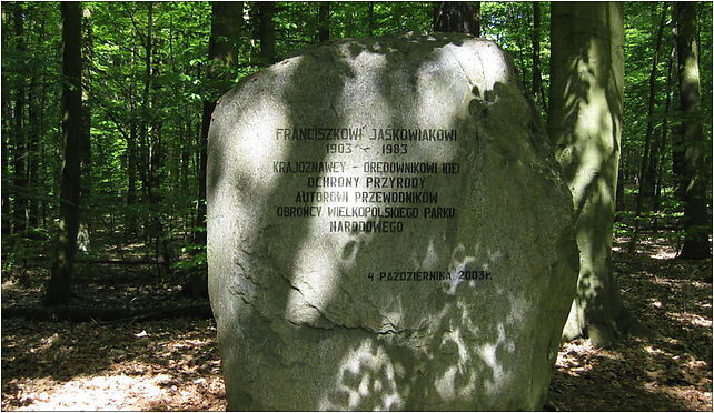 Głaz w Wielkopolskim Parku Narodowym (Franciszek Jaśkowiak) 62-060 - Zdjęcia