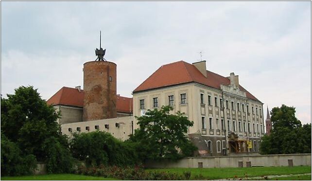 Glogow zamek, Morcinka Gustawa, Głogów 67-200 - Zdjęcia