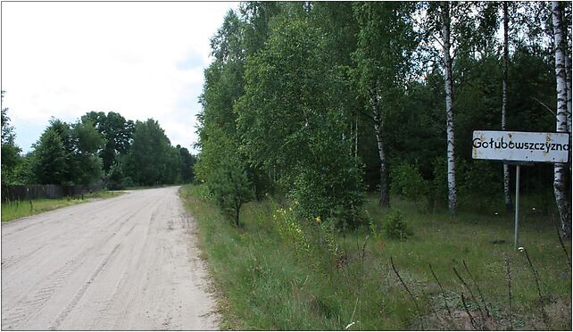 Gołubowszczyzna - Road, Gołubowszczyzna, Gołubowszczyzna 17-332 - Zdjęcia