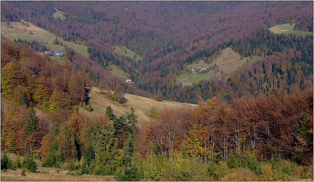 Gorc a3, Postrzelne, Postrzelne 34-608 - Zdjęcia