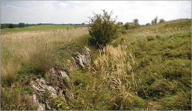 Gory Wschodnie 20070825 1230, Zagórze, Zagórze 28-160 - Zdjęcia