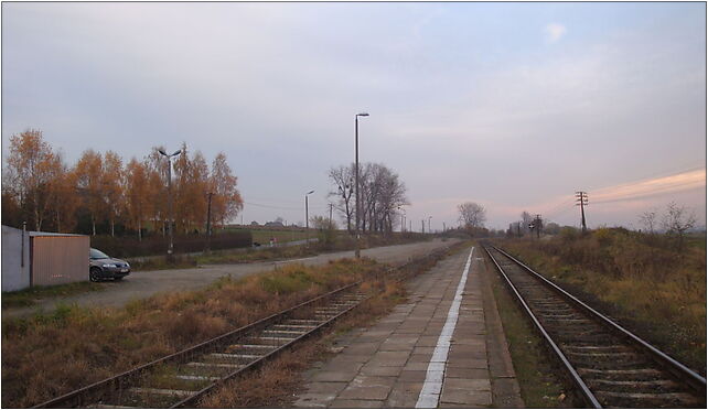 Gorzuchowo21, Gorzuchowo, Gorzuchowo 86-212 - Zdjęcia