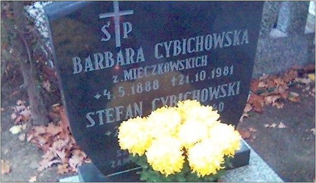 Grob cybichowskiego, Szczawnicka 2, Poznań 60-471 - Zdjęcia