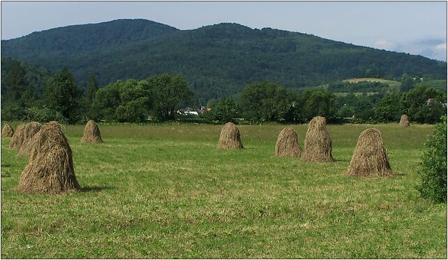 Grodzisko (Beskid Wyspowy) a1, Poznachowice Dolne - Zdjęcia