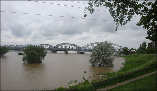 Grudziadz2010Flood2, Wiślana 5, Grudziądz 86-300 - Zdjęcia