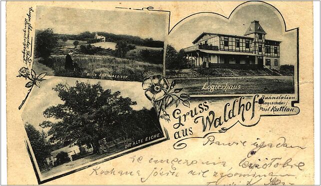 Gruss aus Waldhof, Kulów, Kulów 67-240 - Zdjęcia