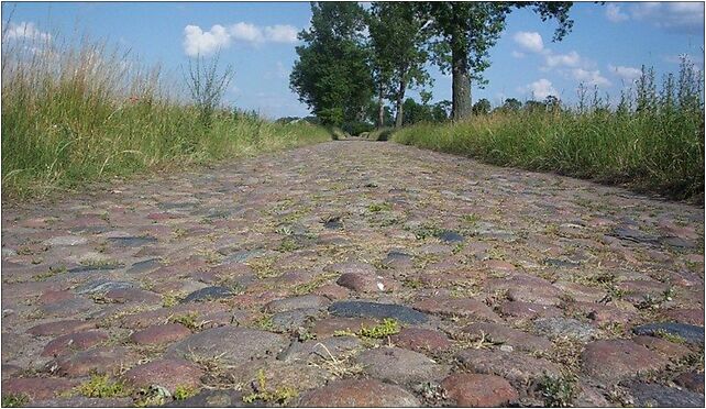 Guzow-oryszew road cm02, Rodu Łubieńskich 1a, Guzów 96-317 - Zdjęcia