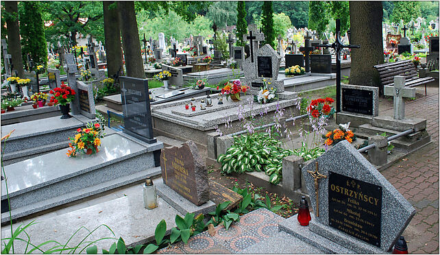 Hajnowka cmentarz katolicki, Armii Krajowej, Hajnówka 17-200 - Zdjęcia