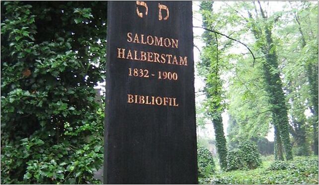 Halberstam salomon, Damrota Konstantego, Bielsko-Biała 43-300 - Zdjęcia