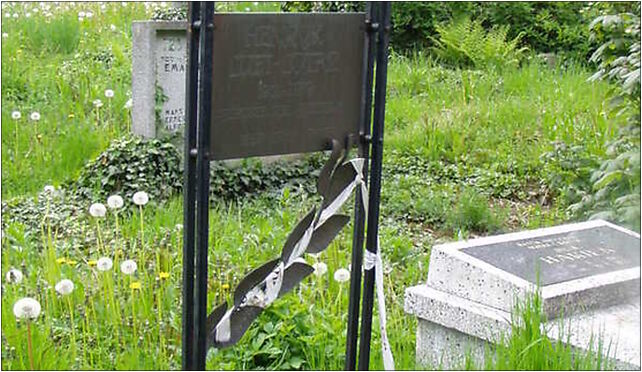 Henryk Luft-Lotar grave, Cieszyńska 92, Bielsko-Biała 43-300 - Zdjęcia