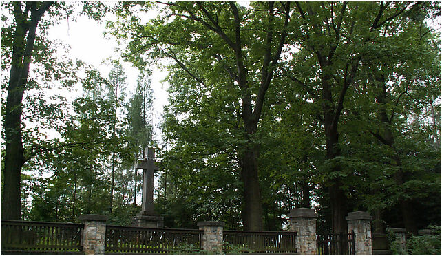 I WW Military cemetery 141 Ciezkowice-Rakutowa, Poland 33-190 - Zdjęcia
