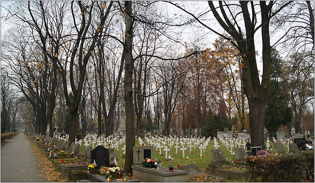 I WW Military cemetery 388 Kraków-Rakowice section 3,1 Prandoty street,Krakow,Poland 31-435 - Zdjęcia