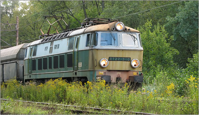 IMG 1418 ET22-310, Roosevelta Franklina, Zabrze 41-800 - Zdjęcia