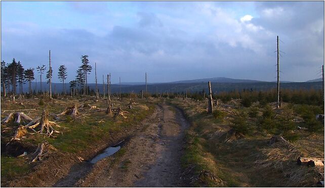 Isergebirge in April, Stóg Izerski - Zdjęcia