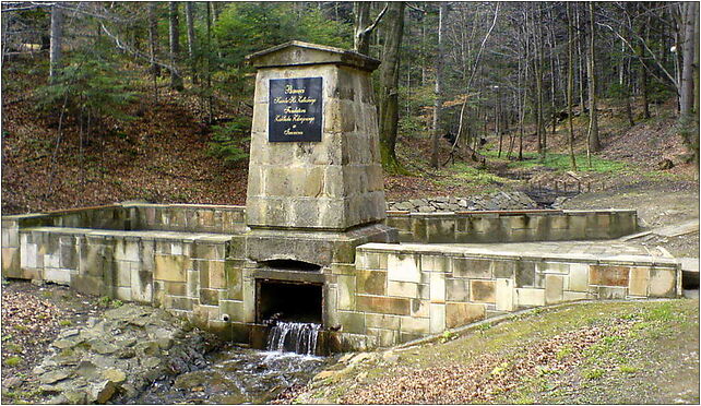 Iwonicz-Zdrój - weir on Bełkotka stream, Partyzantów, al. 38-440 - Zdjęcia