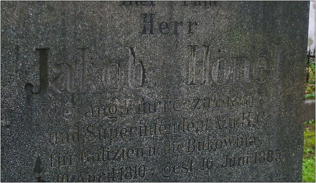 Jakub Honel tomb 3, Piłsudskiego Józefa 15, Bielsko-Biała 43-300 - Zdjęcia