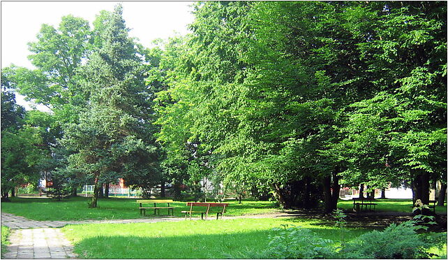 Janów - park, Trofimowska, Janów 16-130 - Zdjęcia