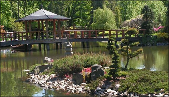 Japanese garden Wroclaw bridge, Mickiewicza Adama455, Wrocław od 51-619 do 51-685 - Zdjęcia