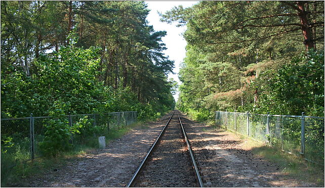 Jastarnia - Railway line 213 01, Mickiewicza Adama216, Jastarnia 84-140 - Zdjęcia