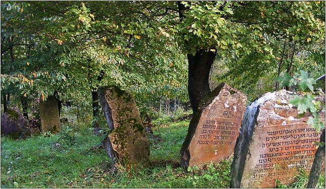 Jewish cemetery Rymanów, Bartoszów, Rymanów 38-480 - Zdjęcia