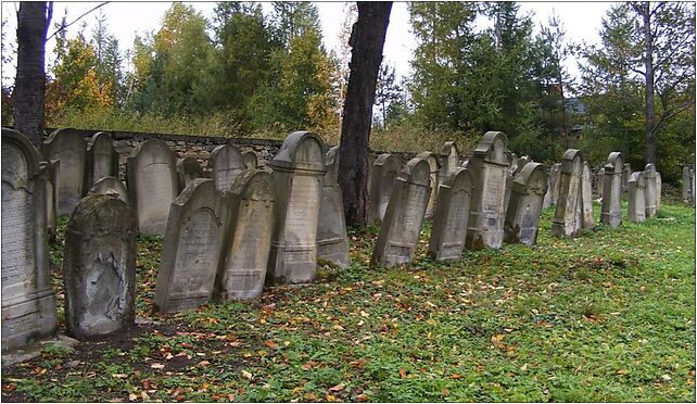 Jewish cemetery in Dukla, Trakt WęgierskiE3719 62, Dukla 38-450 - Zdjęcia