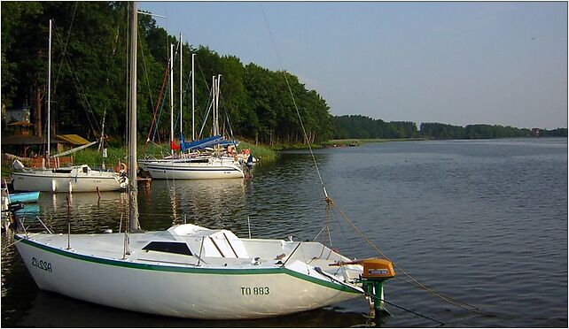 Jeziorak Żaglówka przy brzegu Jażdżówki, Różek, Różek 14-230 - Zdjęcia