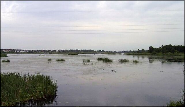 Jezioro Bugaj (Piotrkow), Piotrków Trybunalski od 97-300 do 97-312 - Zdjęcia