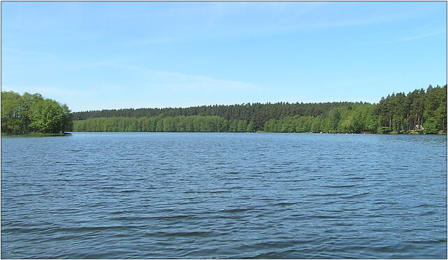 Jezioro Dybrzyk, Drzewicz, Drzewicz 89-608 - Zdjęcia