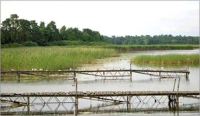 Jezioro Jezuickie 7, Wyspowa, Prądocin 86-060 - Zdjęcia