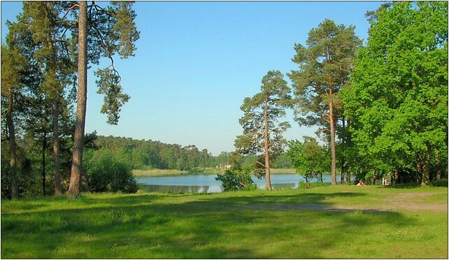 Jezioro Jezuickie Piecki 1, Wyspowa, Prądocin 86-060 - Zdjęcia