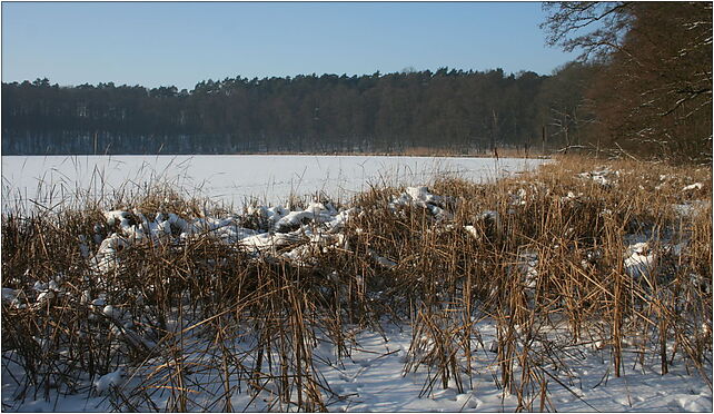 Jezioro Kludno (2), Kolno, Kolno 64-400 - Zdjęcia